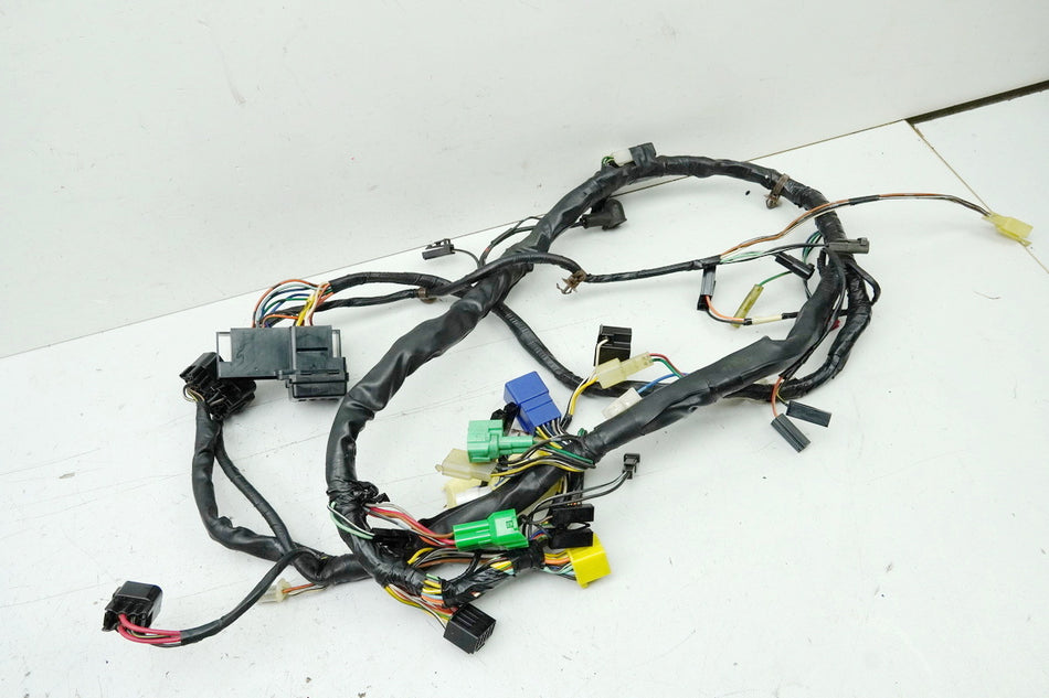 SUZUKI GSX 750 AE INAZUMA Cableado principal (para motor)
