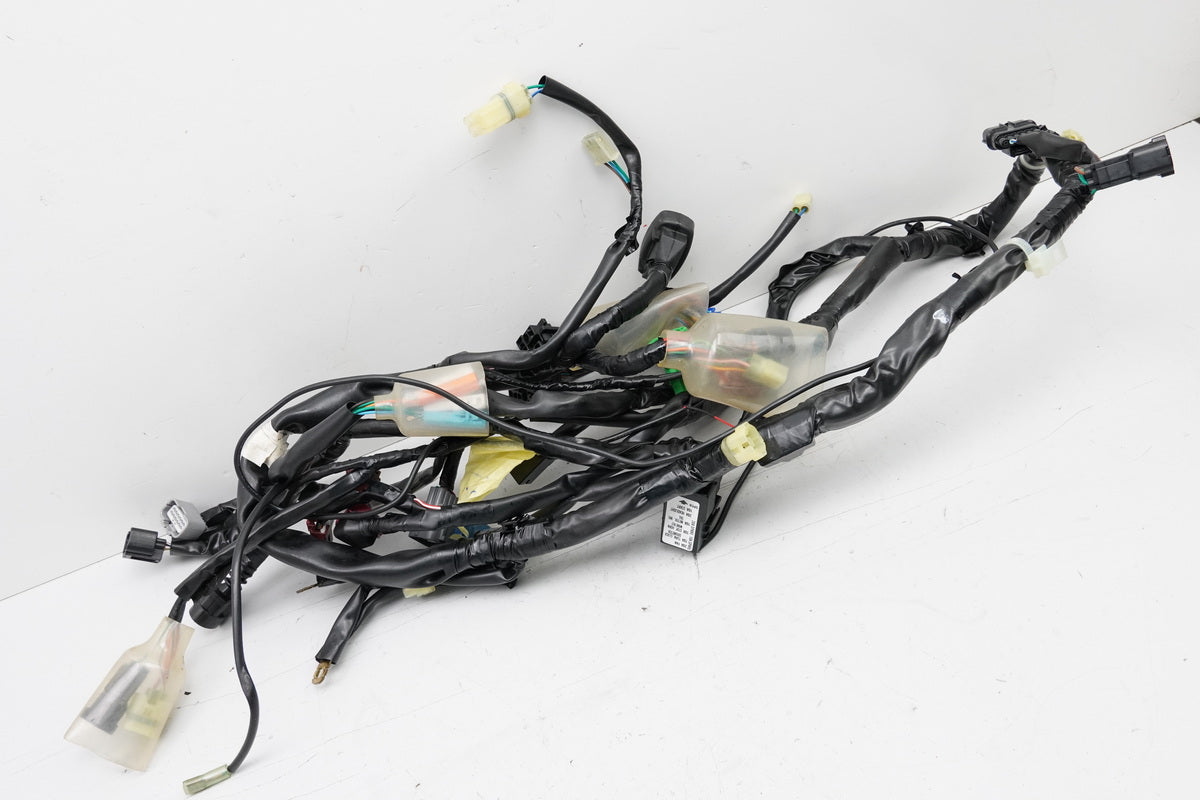 HONDA CBF 1000 FA SC64 Mazo de cables Cableado principal 32100-MGJ-D00