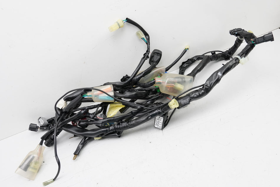 HONDA CBF 1000 FA SC64 Mazo de cables Cableado principal 32100-MGJ-D00