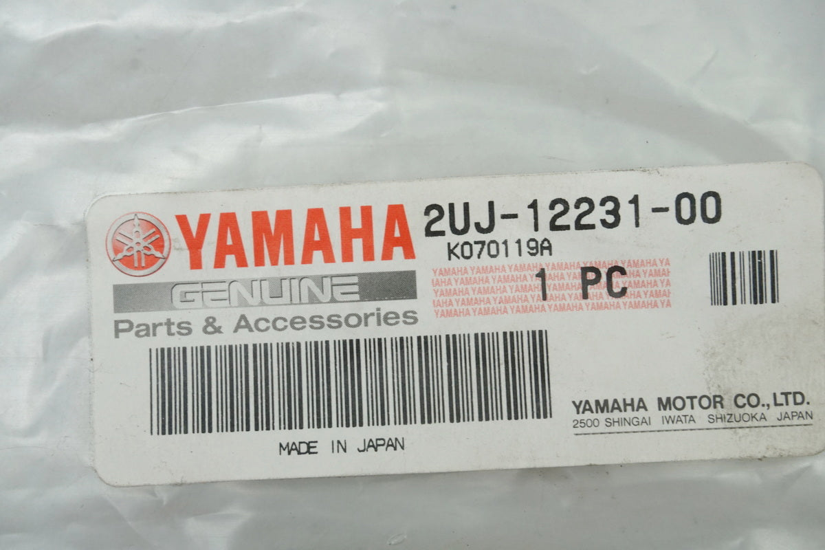 Yamaha Runner Rail Guide Rail Timing Chain Rail 2UJ-12231-00 XV - NEW