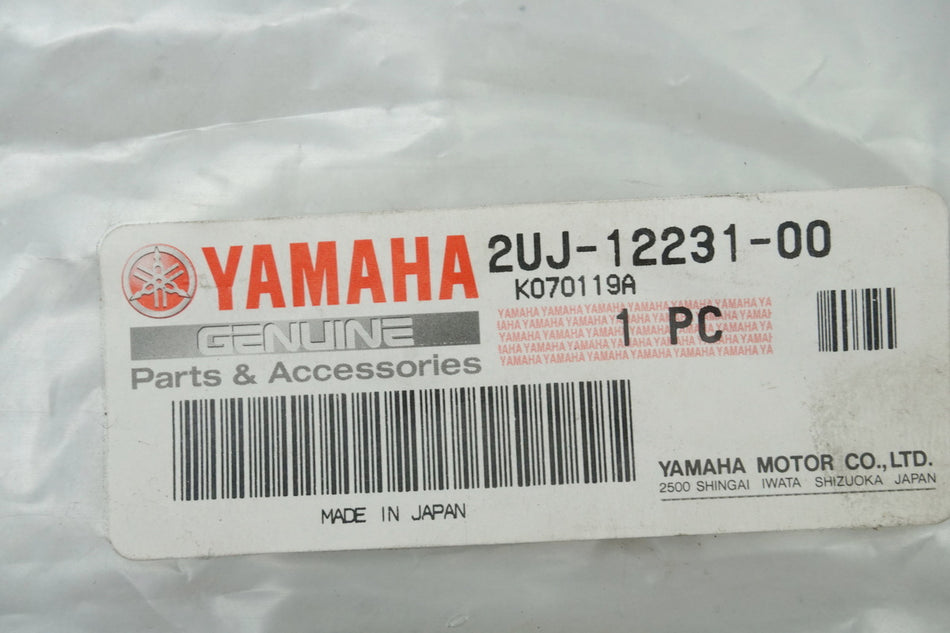 Yamaha Runner Rail Guide Rail Timing Chain Rail 2UJ-12231-00 XV - NEW