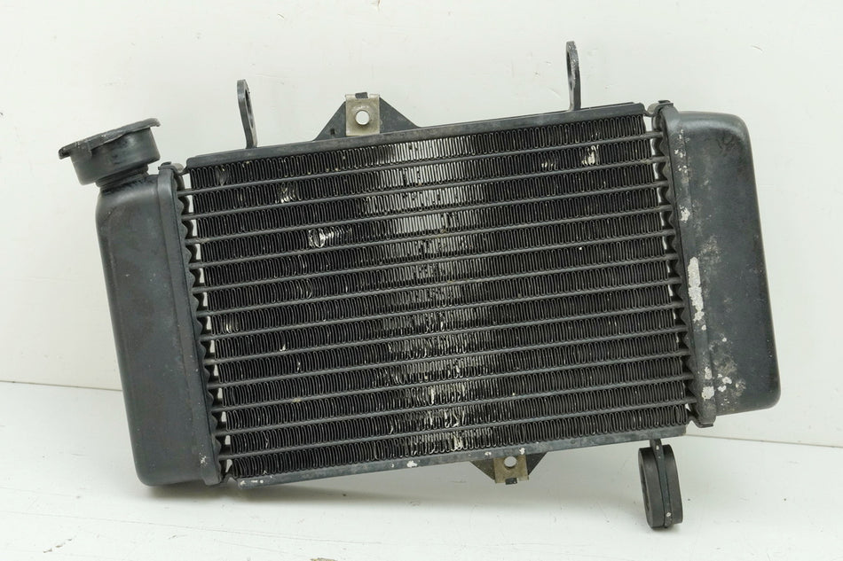 YAMAHA MT 125 A RE11 (RE29) Radiador de agua