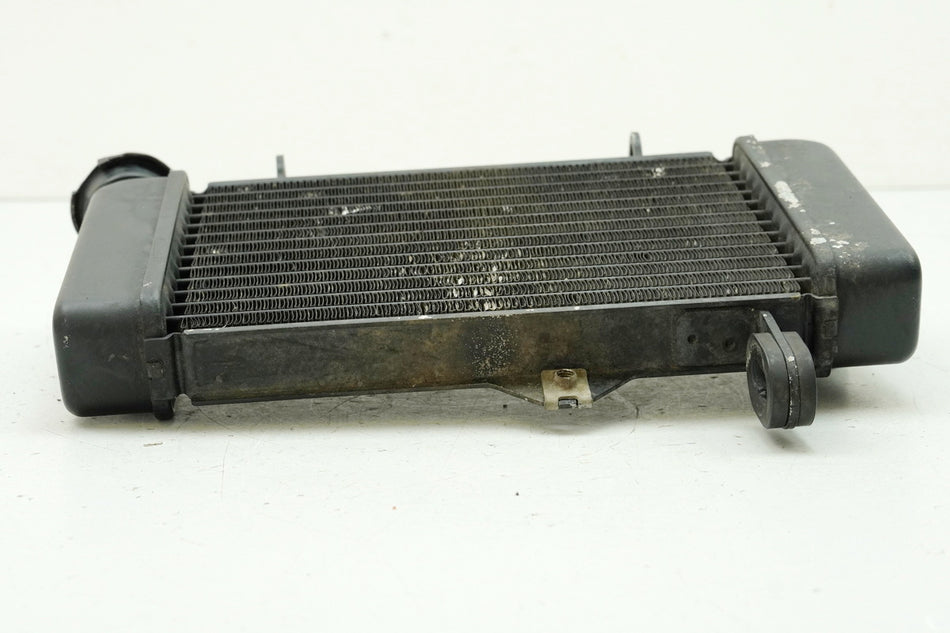 YAMAHA MT 125 A RE11 (RE29) Radiador de agua