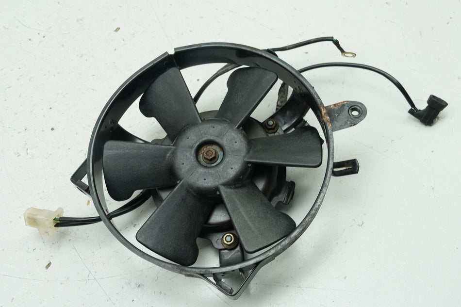 HONDA XL 600 PD06 TRANSALP Lüftermotor Motor Gebläse Lüfter (für Kühler)