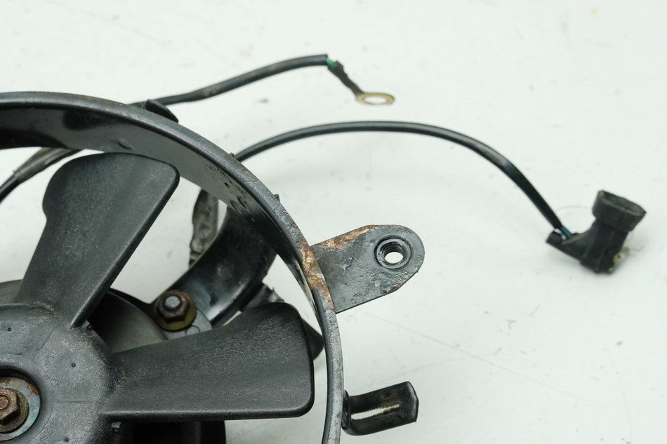 HONDA XL 600 PD06 TRANSALP Lüftermotor Motor Gebläse Lüfter (für Kühler)