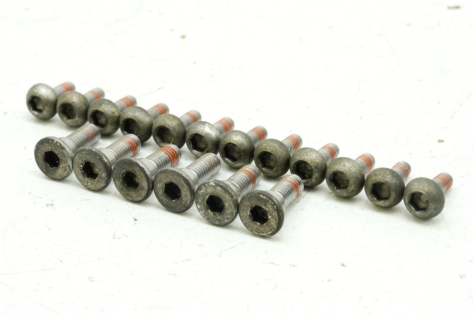 HONDA CBR 1100 XX SC35 Schrauben für Bremsscheiben vorn & hinten