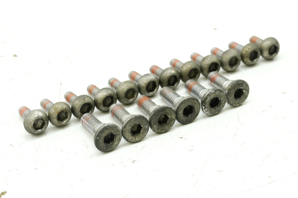 HONDA CBR 1100 XX SC35 Schrauben für Bremsscheiben vorn & hinten