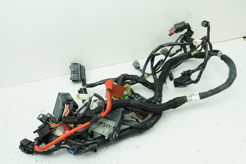 HUSQVARNA Vitpilen HQV 401 Mazo de cables principal (para motor)