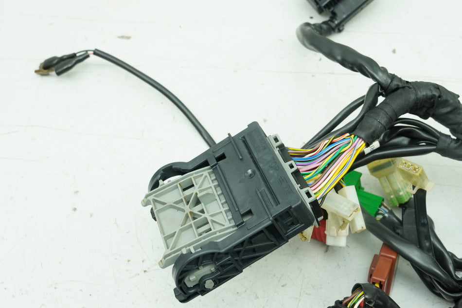 HUSQVARNA Vitpilen HQV 401 Mazo de cables principal (para motor)
