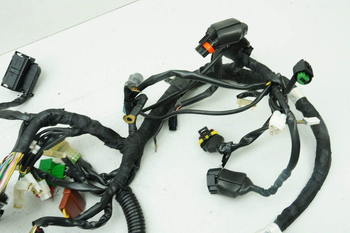 HUSQVARNA Vitpilen HQV 401 Kabelbaum Hauptkabelbaum Kabelstrang (für Motor)