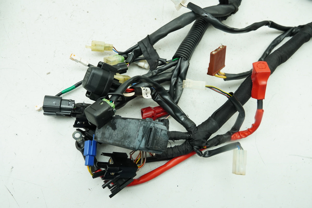 HUSQVARNA Vitpilen HQV 401 Kabelbaum Hauptkabelbaum Kabelstrang (für Motor)