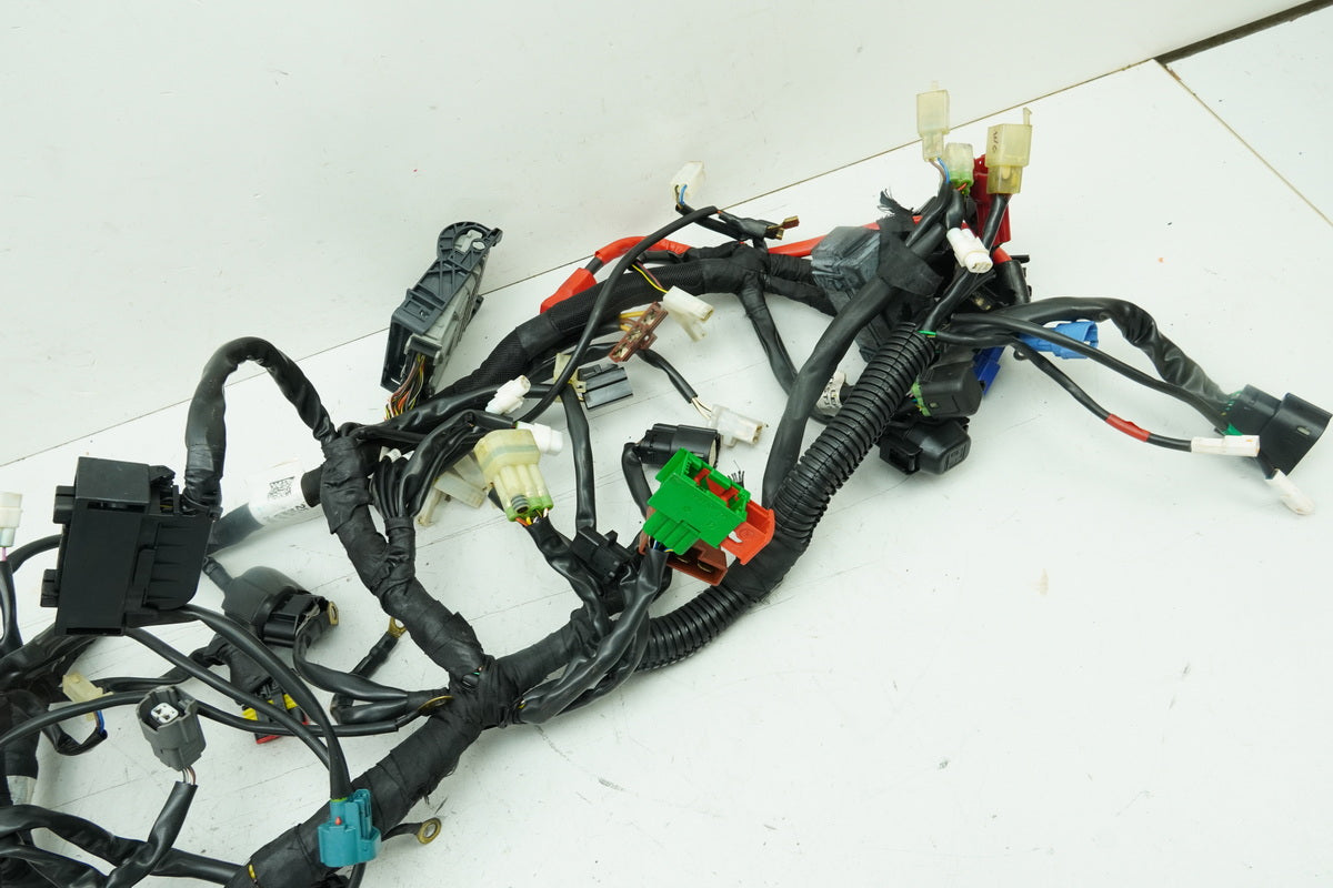 HUSQVARNA Vitpilen HQV 401 Kabelbaum Hauptkabelbaum Kabelstrang (für Motor)