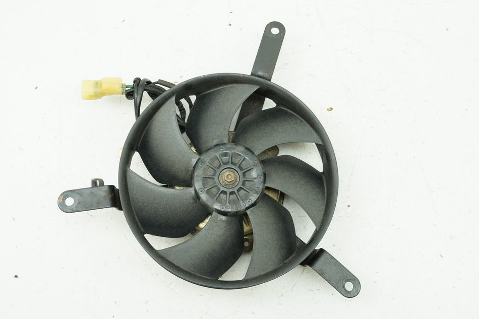 HONDA CBR 1100 XX SC35 Kühlerlüfter Lüfterrad Motor Lüfter für Kühler