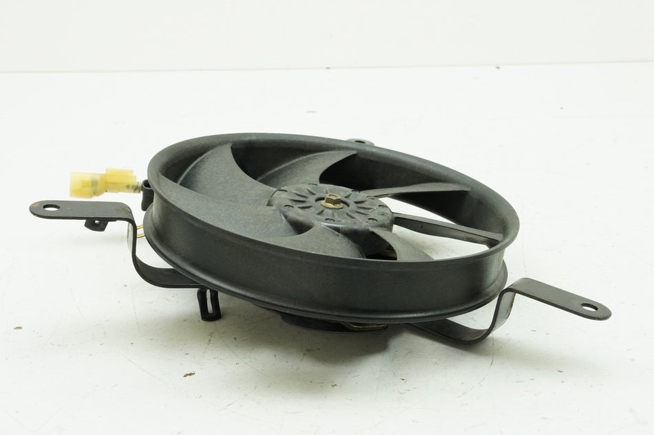 HONDA CBR 1100 XX SC35 Kühlerlüfter Lüfterrad Motor Lüfter für Kühler