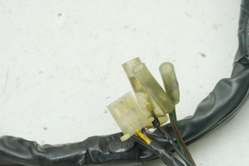 YAMAHA YZF 600 4TV THUNDERCAT Mazo de cables cableado principal (para motor)