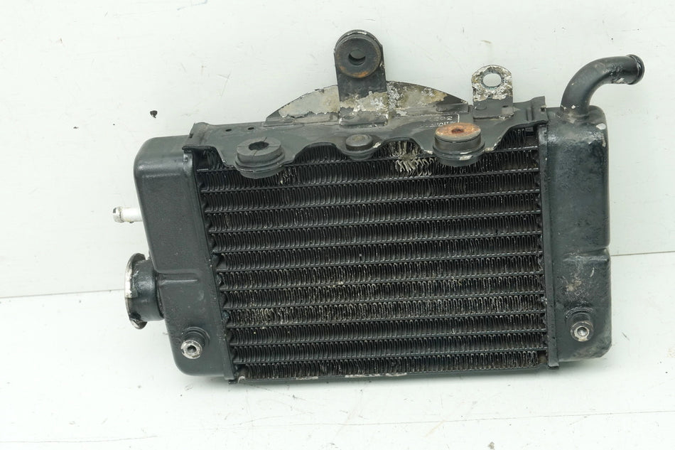 HONDA XL 600 PD06 TRANSALP radiador derecho original radiador de agua para circuito de refrigeración