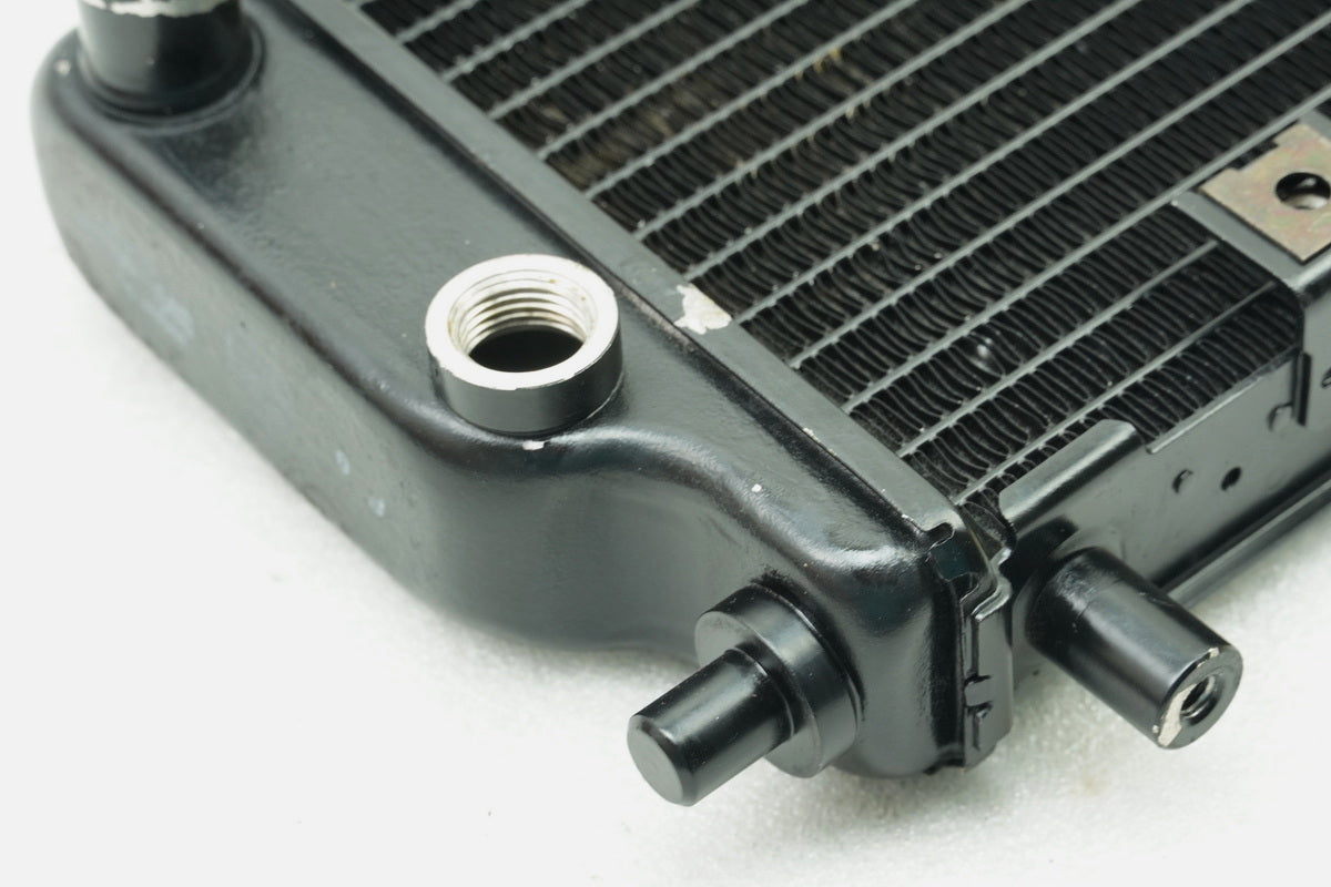 Kawasaki EL 252 EL 250 B Eliminator Kühler Wasserkühler original Water Cooler