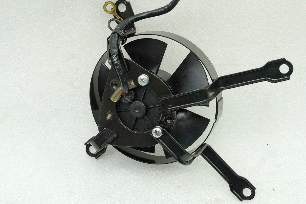 Kawasaki EL 252 EL 250 B Eliminator Lüfter Kühler Lüfterrad Motor Ventilator