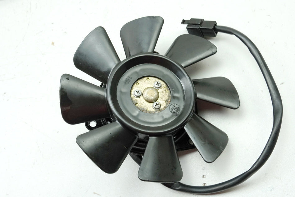 YAMAHA FZS 600 RJ02 FAZER Lüfter Lüfterrad Kühler Motor Cooler