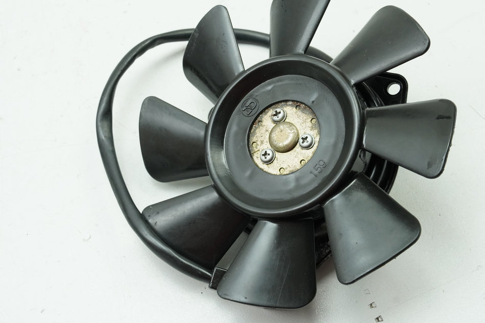 YAMAHA FZS 600 RJ02 FAZER Lüfter Lüfterrad Kühler Motor Cooler