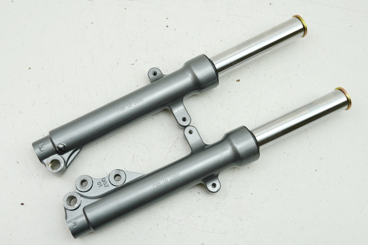 CPI Aragon 50 JR 45 Gabelholme Paar Standrohr Tauchrohr original - nur 1282 km