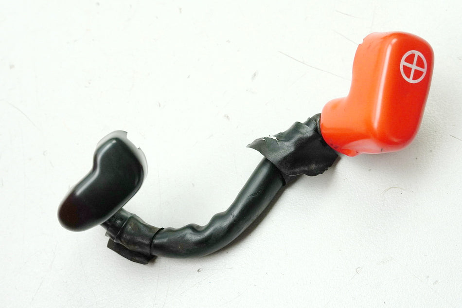 HONDA XL 600 PD06 TRANSALP Pluskabel Kabel Batterie