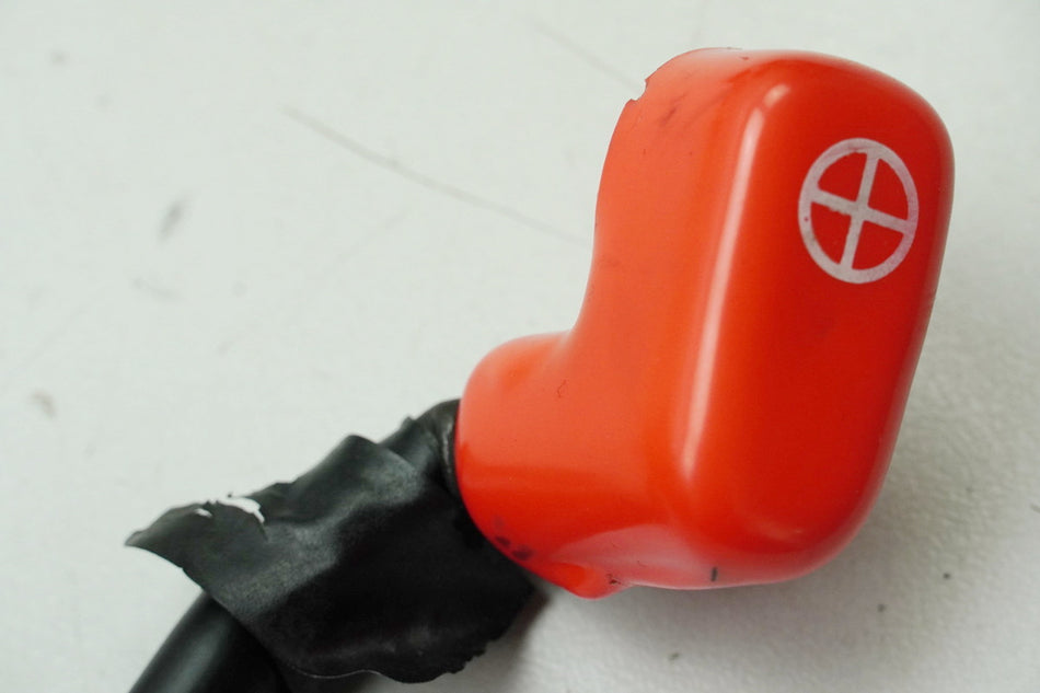HONDA XL 600 PD06 TRANSALP Pluskabel Kabel Batterie