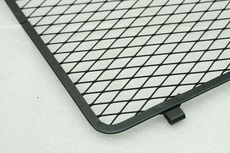 KAWASAKI Z 750 ZR750J Abdeckung Kühler Blende Gitter Verkleidung Cover 04-06