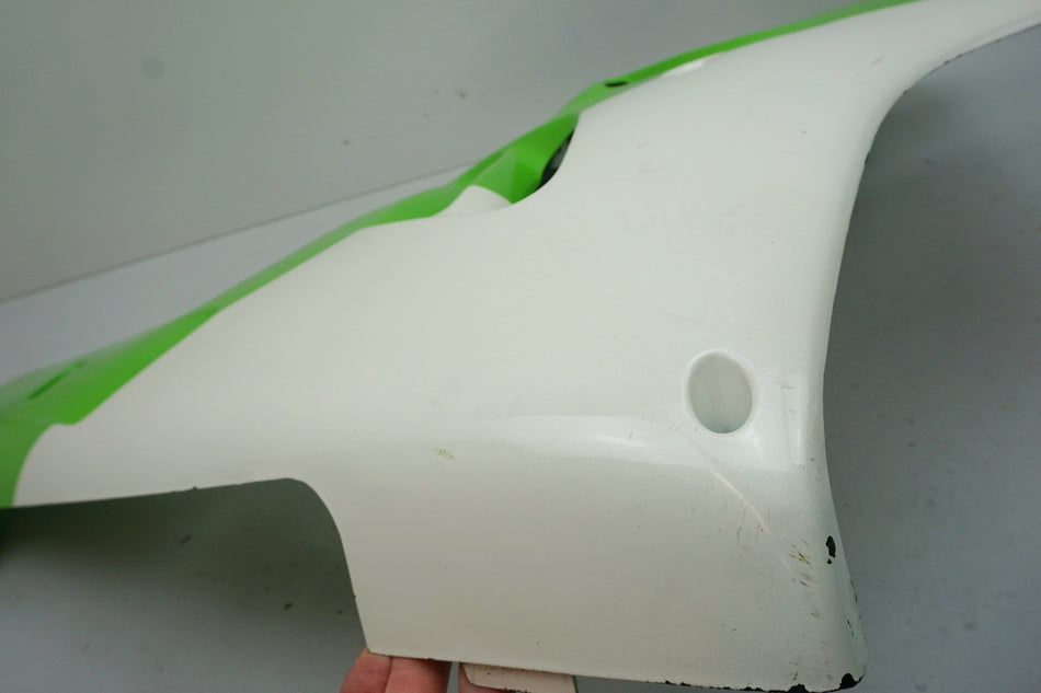 KAWASAKI ZX-9R ZX900B Seitenverkleidung rechts Abdeckung Cover Blende 55028-1316
