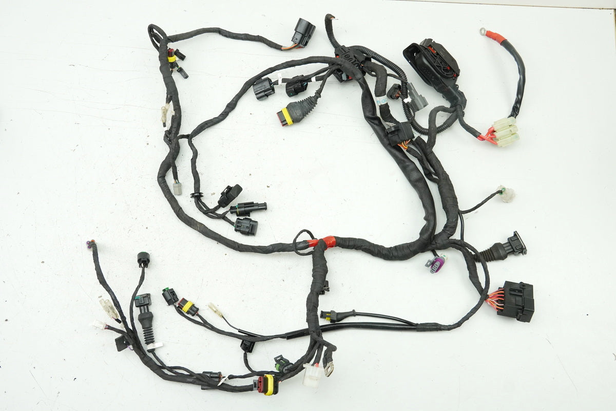 DUCATI MONSTER 696 ABS M5 Wiring Harness Main Wiring Harness Only 1626km