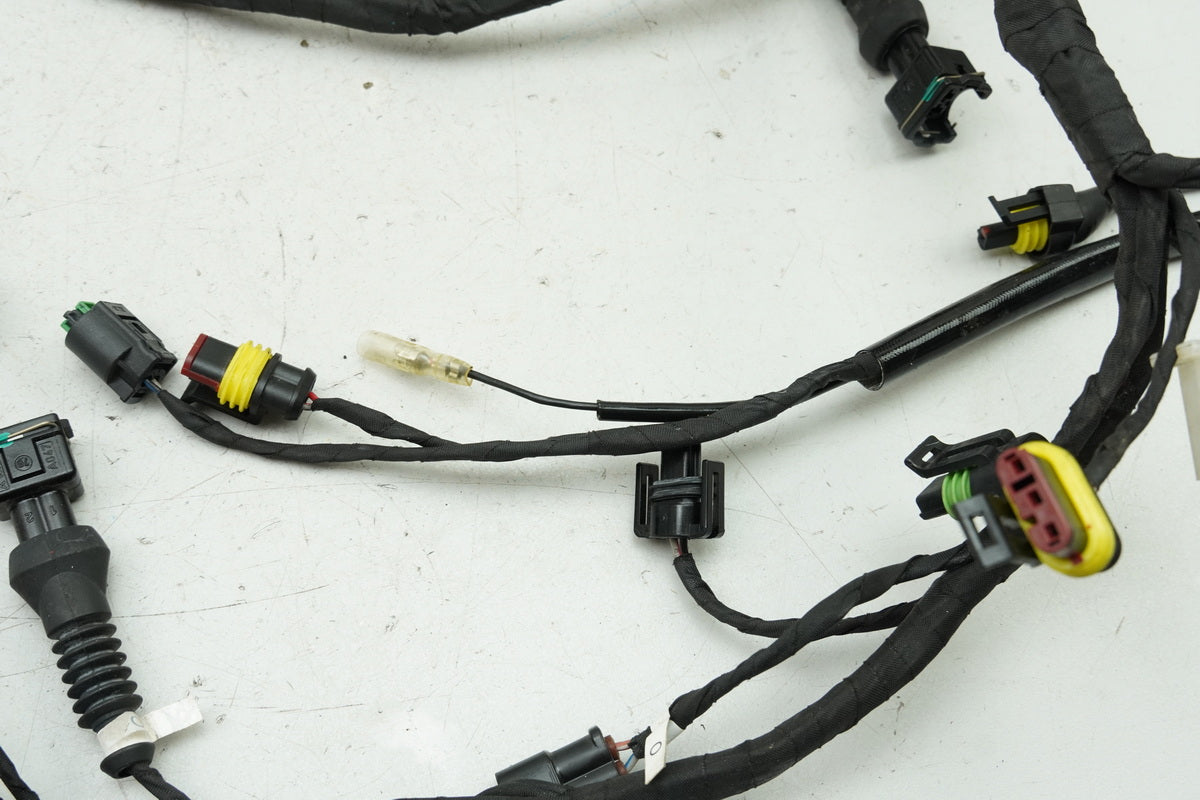 DUCATI MONSTER 696 ABS M5 Wiring Harness Main Wiring Harness Only 1626km