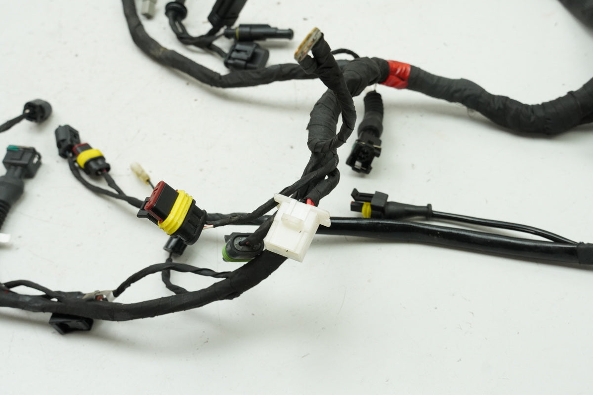 DUCATI MONSTER 696 ABS M5 Wiring Harness Main Wiring Harness Only 1626km