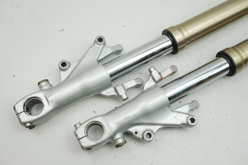 KAWASAKI ZX-9R ZX900B Gabelholme Paar Standrohr Gleitrohr Tauchrohr Gabel Fork