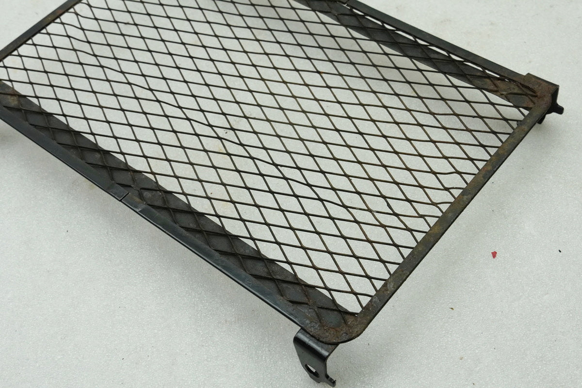 Kawasaki EL 252 EL 250 B Eliminator Abdeckung Kühler Gitter Blende Verkleidung