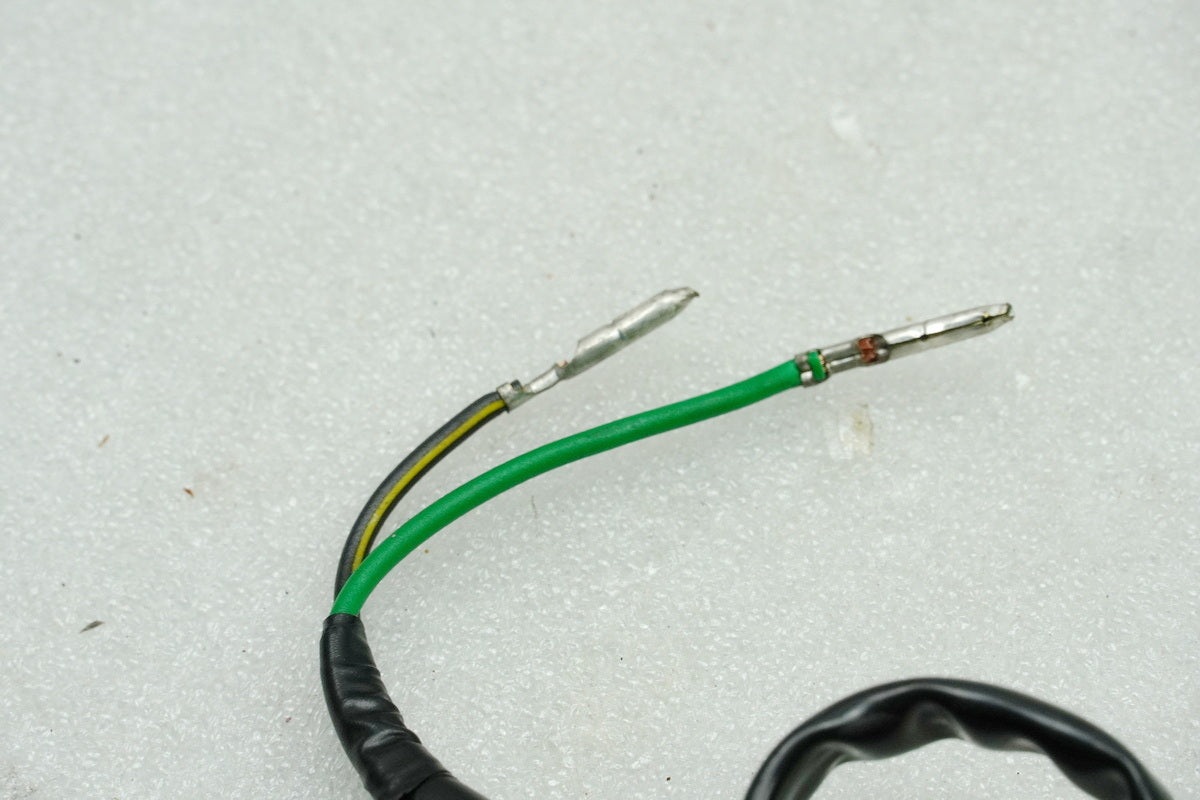 Kawasaki EL 252 EL 250B Eliminator Blinker links hinten Blinkerglas Turn Signal