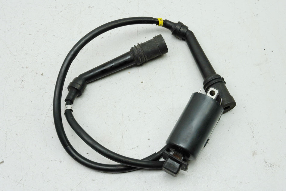 YAMAHA FZS 600 RJ02 FAZER Bobina de encendido 1+4 Denso original Capuchón de bujía