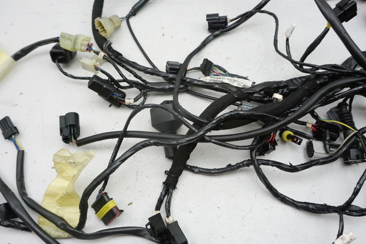 MV AGUSTA BRUTALE 800 DRAGSTER RR B322BB Wiring Harness Main Wiring Harness