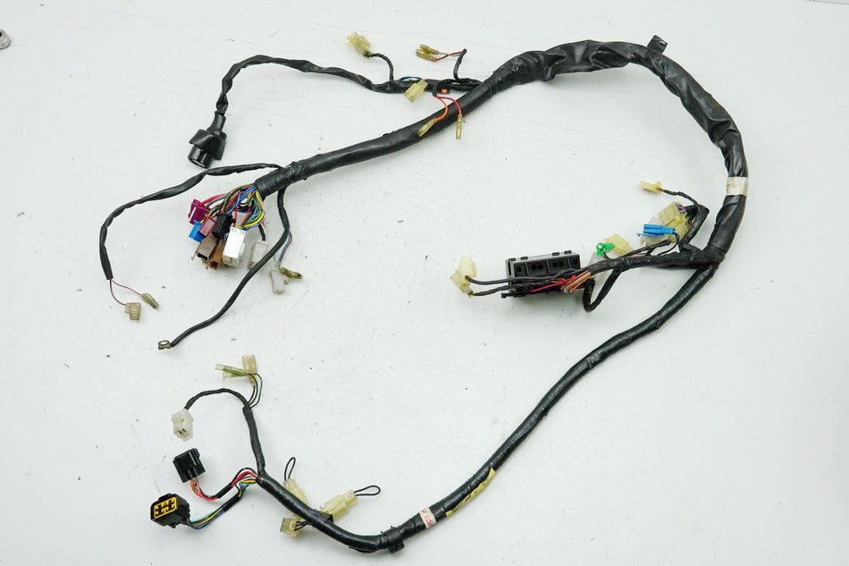 YAMAHA FZS 600 RJ02 FAZER Mazo de cables, cableado principal 5DM-82590-00