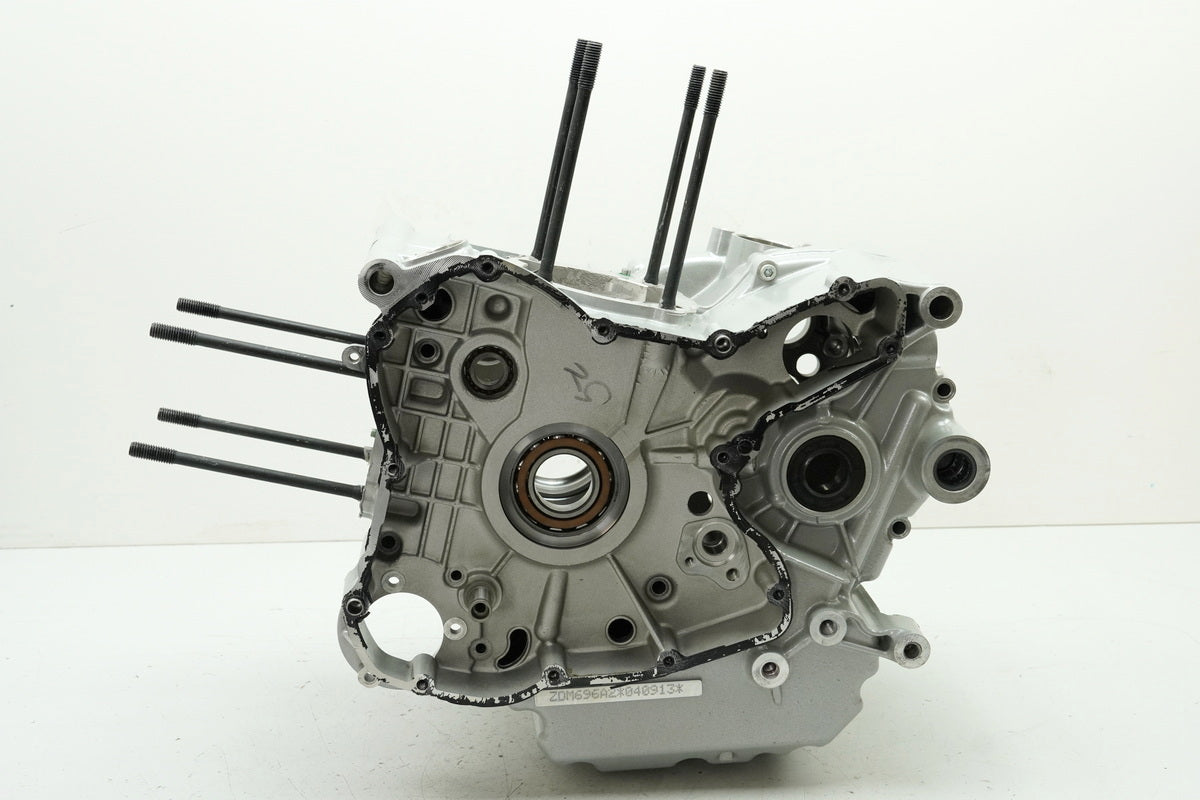 DUCATI MONSTER 696 ABS M5 Motorgehäuse Motorblock Kurbelgehäuse NUR 1626km