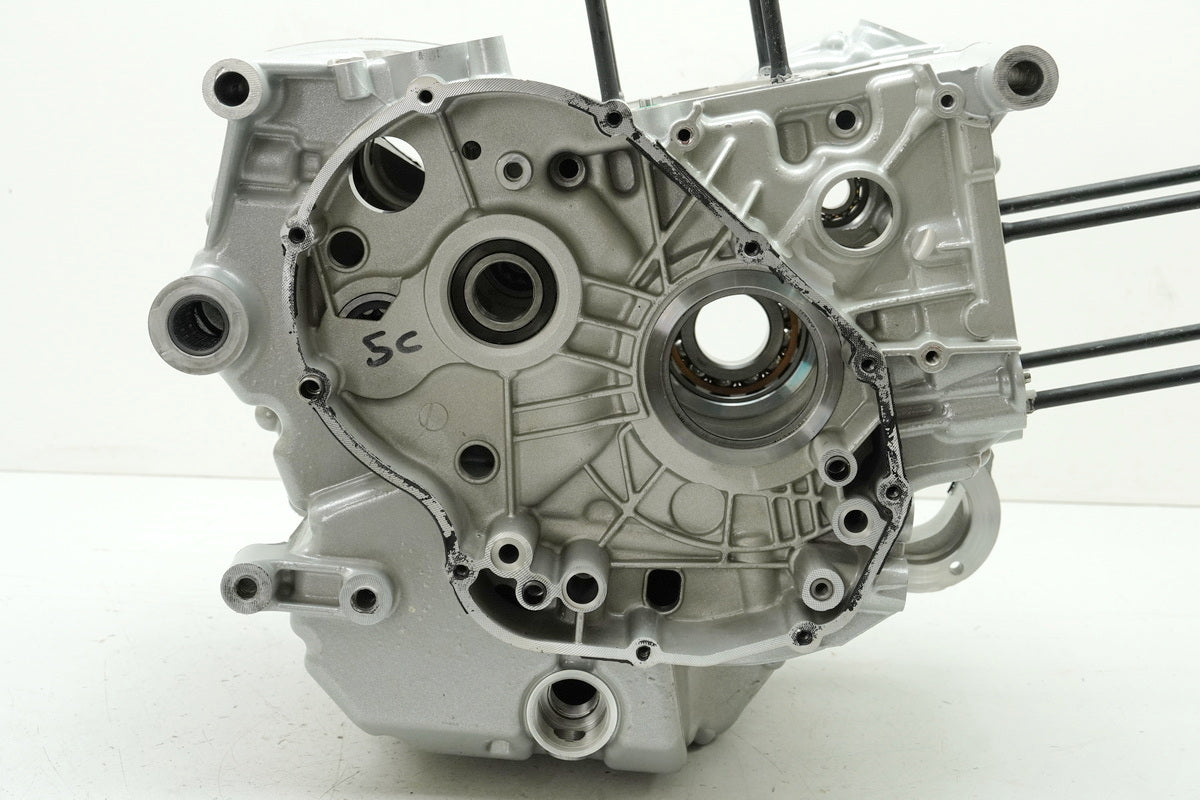 DUCATI MONSTER 696 ABS M5 Motorgehäuse Motorblock Kurbelgehäuse NUR 1626km