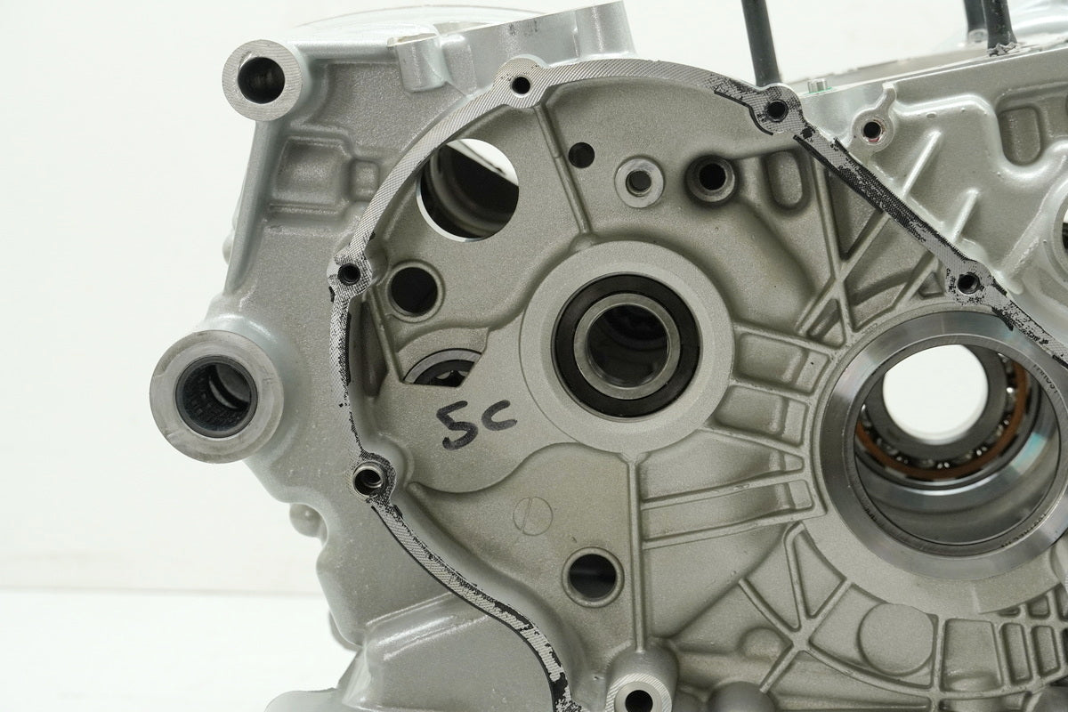 DUCATI MONSTER 696 ABS M5 Motorgehäuse Motorblock Kurbelgehäuse NUR 1626km