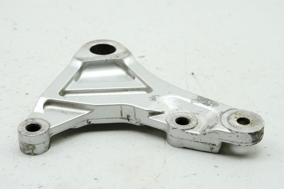 YAMAHA FZS 600 RJ02 FAZER Plato soporte freno pinza trasera soporte plato anclaje