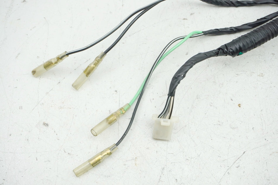 HYOSUNG GV 250 AQUILA Cableado para luz trasera Cableado de luz trasera Cable
