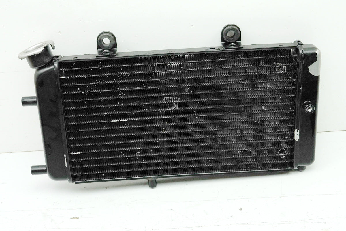 Aprilia Pegaso 650 660 Strada Kühler original Wasserkühler Water Cooler