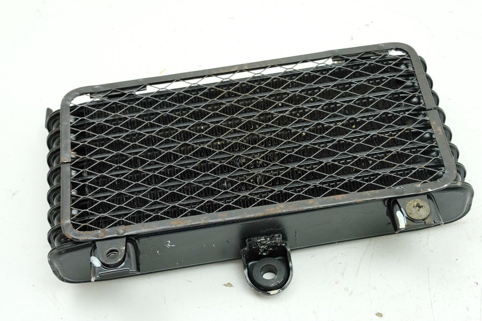 KAWASAKI ZZR 1100 D ZXT10D Radiador de aceite Refrigerador de aceite SÓLO 7932 km 39067-1060