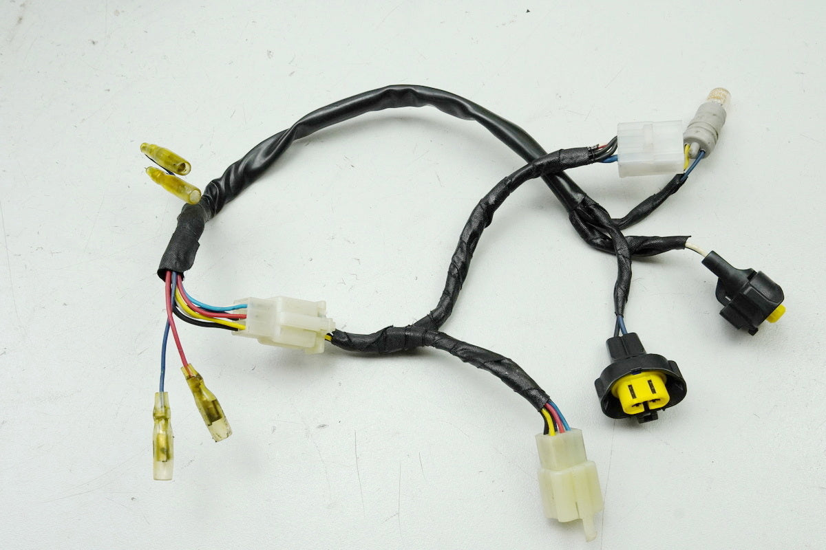 Aprilia Pegaso 650 660 Strada Mazo de cables de faro Cable de intermitente Mazo de cables