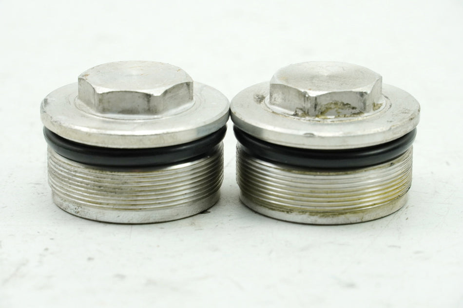 YAMAHA FZS 600 RJ02 FAZER Gabel Verschluß Schraube Stopfen Kappe - Paar