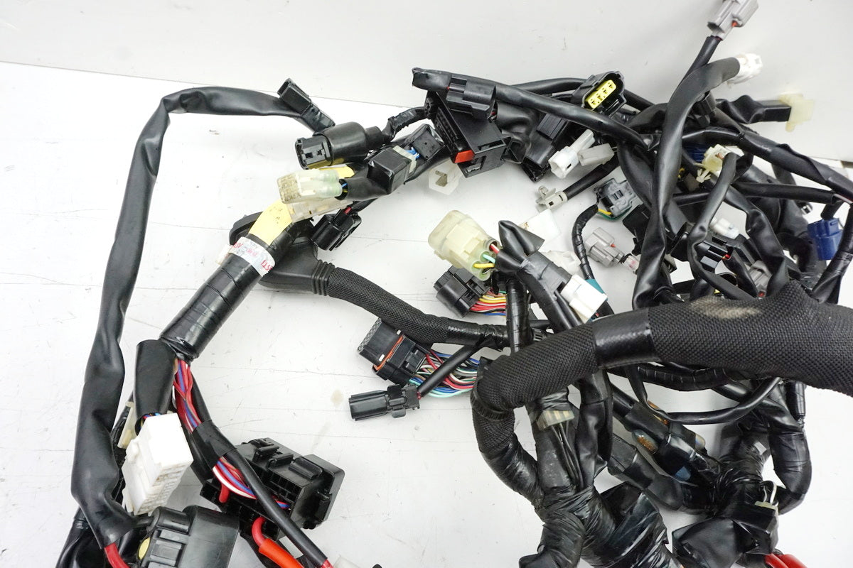 YAMAHA XSR 900 RN43 Wiring Harness Main Wiring Harness Wire Harness