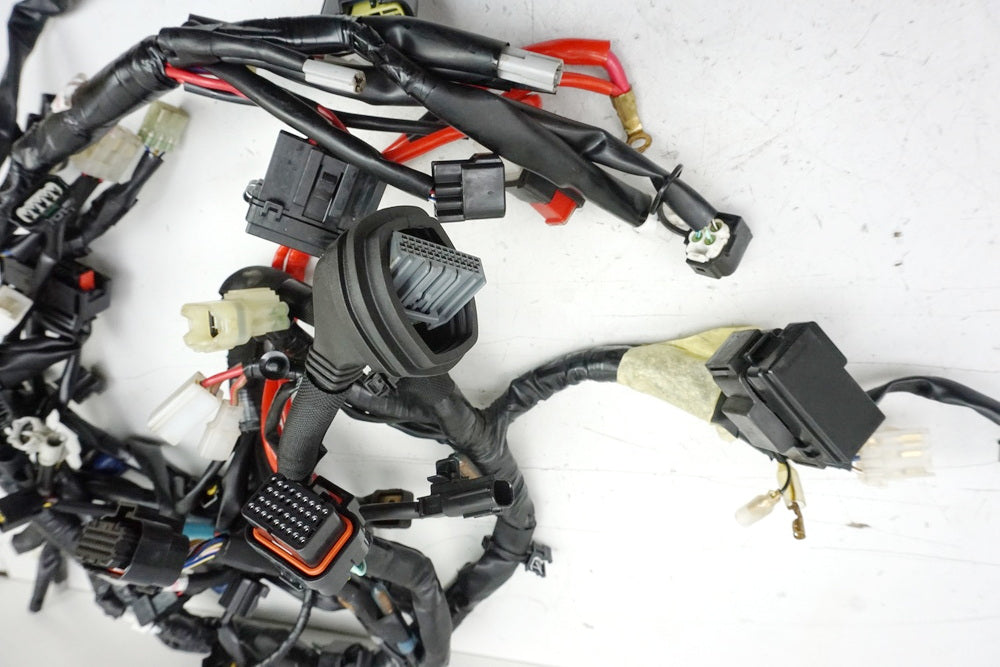 YAMAHA XSR 900 RN43 Wiring Harness Main Wiring Harness Wire Harness