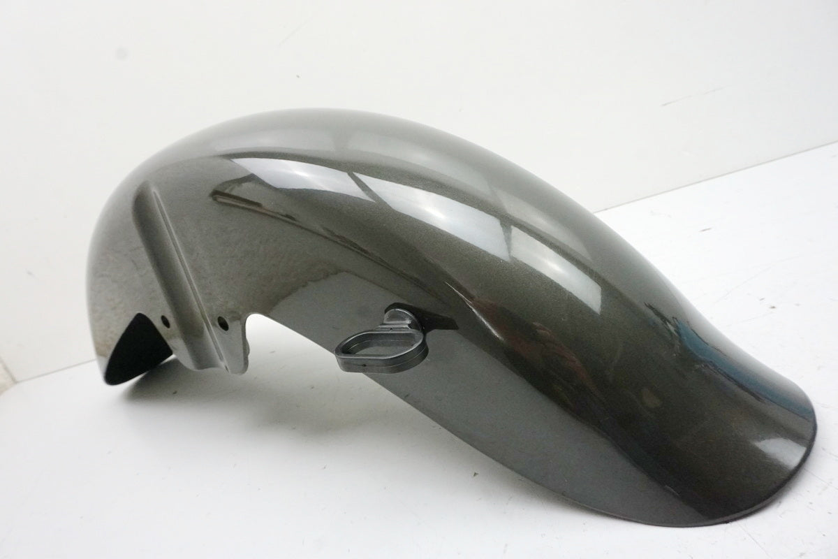 DAELIM VL 125 FI DAYSTAR BA1 Guardabarros delantero DAE-61100-BA1-2000-WG